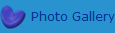 Photo Gallery